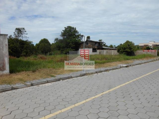 2 terrenos juntos no bairro Meia Praia. - Foto 3