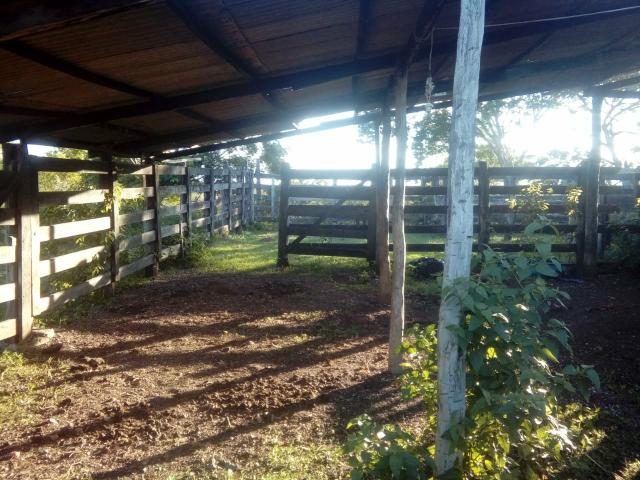 Barra do Garca MT