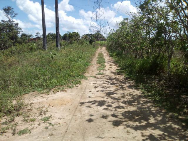 Vende- se - Foto 4