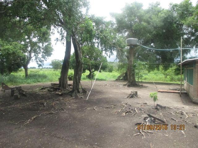 Fazenda na região do abobral,pra venda e arrendamento.2,800 ha - Foto 17