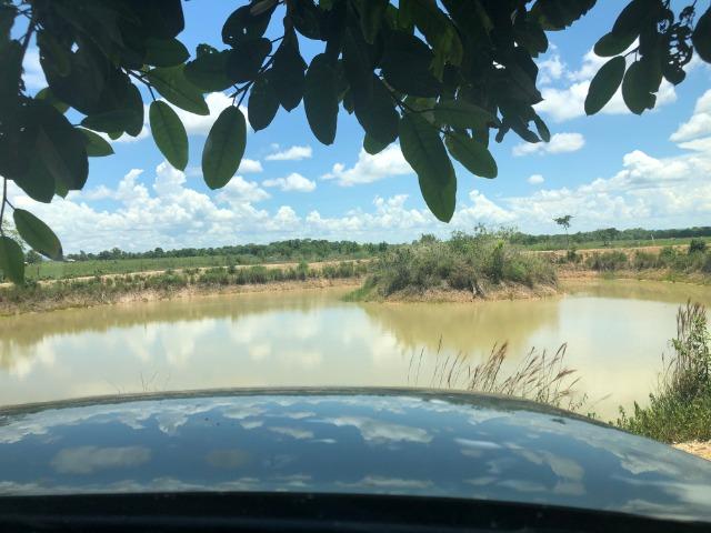 300 hectares, Cuiabá, 220 Hectares pasto, 23 km Atacadão, perto BR 364 - Foto 2