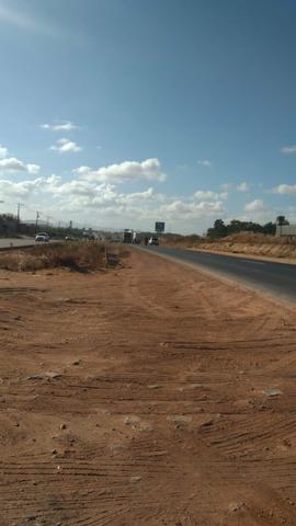 Terreno 800m² na br020 vendo/alugo - Foto 5