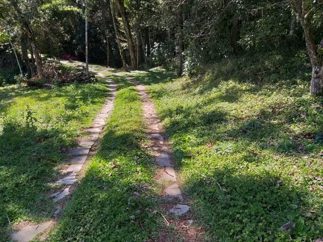 Otima localização - Foto 4