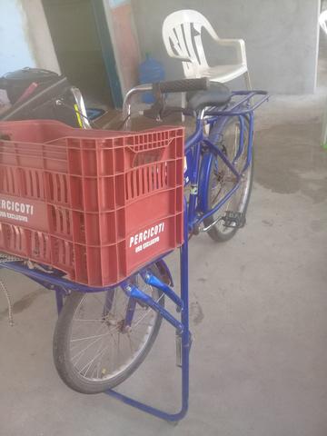 Bicicleta cargueira - Foto 2