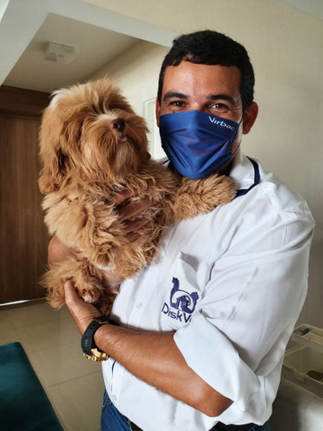 Veterinário Domiciliar - Foto 6