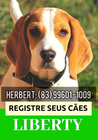 Seu CÃO não possui Pedigree? (LEIA)
