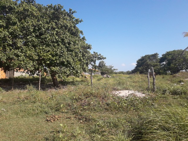 Terreno 10 x 30 m R$ 35.000,00 - Foto 9