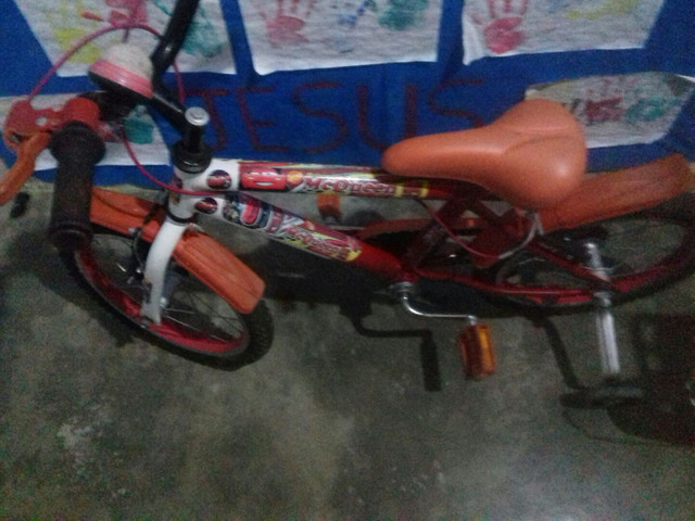 bike aro 16