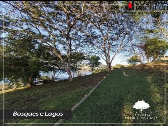 FAZENDA PEDRA DO LAGO. SUA CASA DE CAMPO EM SÃO GONÇALO DOS CAMPOS-BA