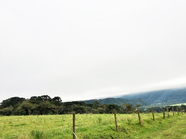 Área 2 Hectares com Container em Urubici - Foto 5