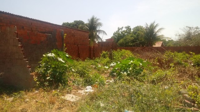 Terreno no bairro Jabuti - Itaitinga  - Foto 5