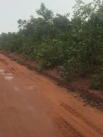 Fazenda em Santa Rita. Para lavoura. - Foto 3