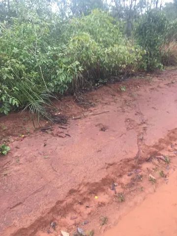 Fazenda em Santa Rita. Para lavoura. - Foto 5