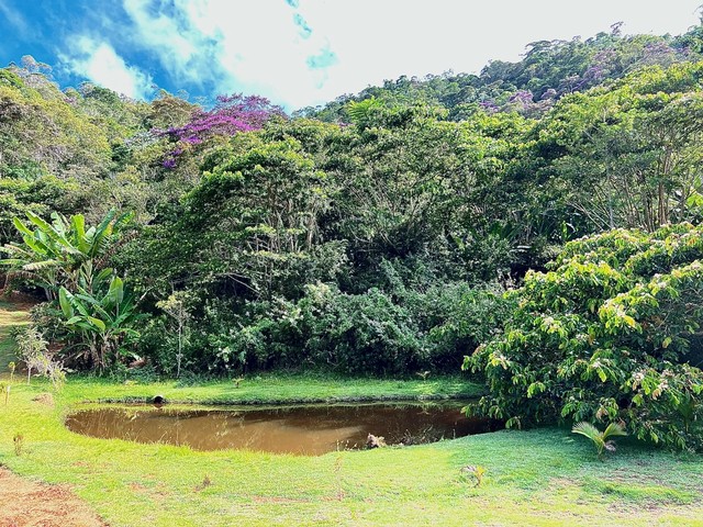 Sítio toca da raposa em Santa Teresa  - Foto 5