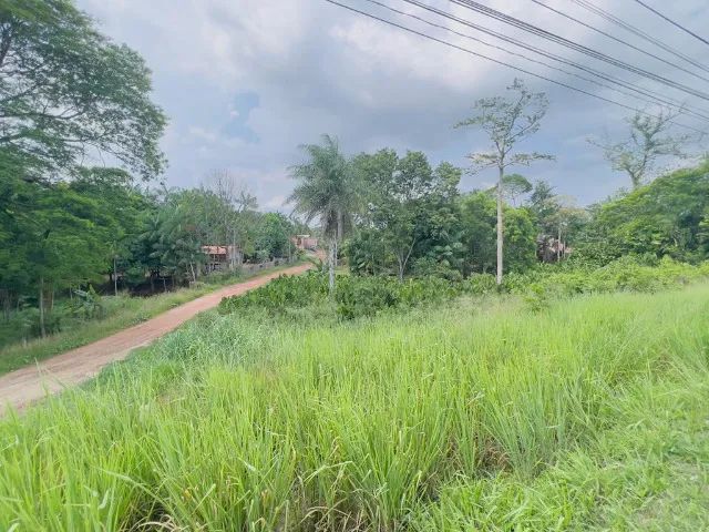 Terreno, 2.500m², na BR, próx. a estrada de Mosqueiro. - Foto 5
