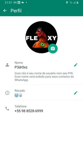 fotos de perfil para usar no WhatsApp de blox fruits｜Pesquisa do TikTok