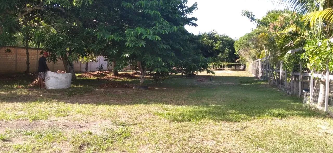 Terreno Documentado em Belterra  - Foto 3