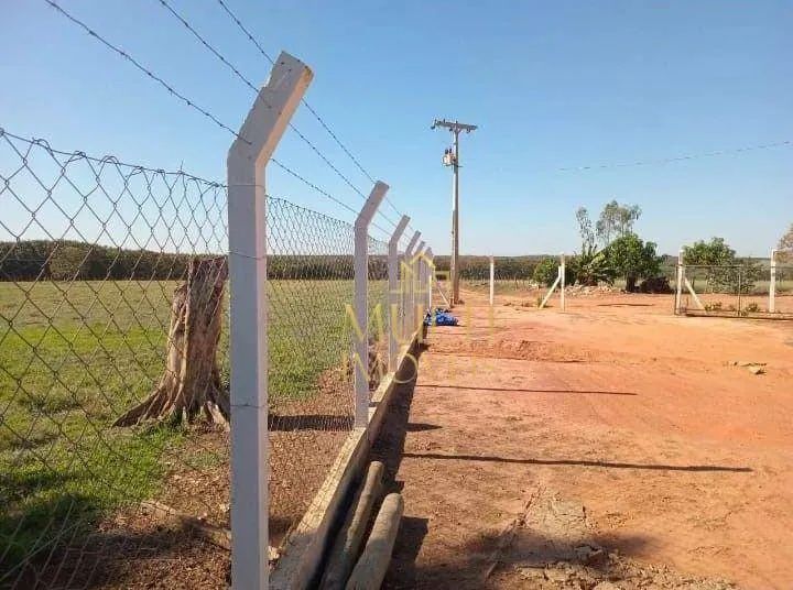 Sítio com 2 dormitórios à venda, 7,5 alqueires por R$ 1.800.000 - Zona Rural - Buritama/SP - Foto 3