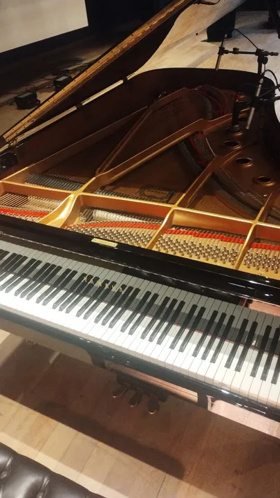 Piano 3/4 cauda
