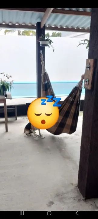 ALUGA-SE CASA NA PRAIA COM PISCINA DIARIA - Foto 9