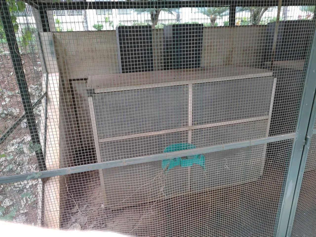 CAMARA FRIA  Split 120.000 BTU C/ DUTOS - Foto 4