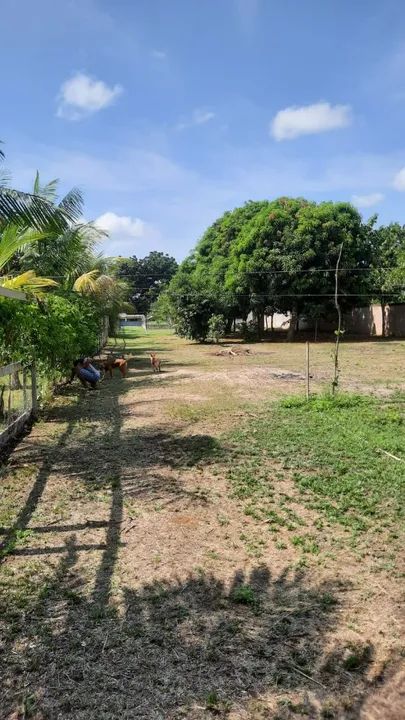Terreno Documentado em Belterra  - Foto 5