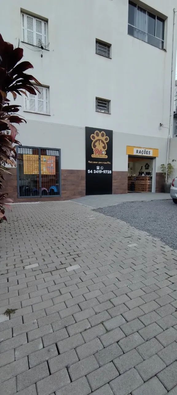  Pet Shop Caxias do Sul - Foto 4