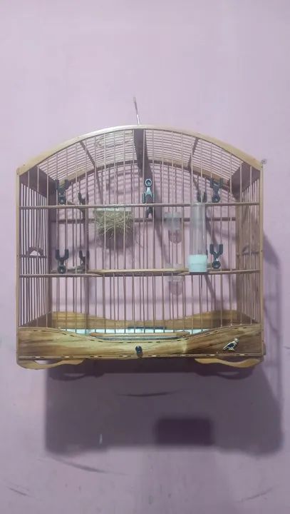 Gaiola para pássaros