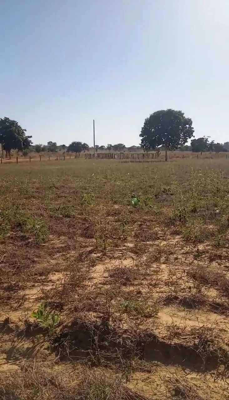 Quadra de terra com 12 lotes - Foto 2