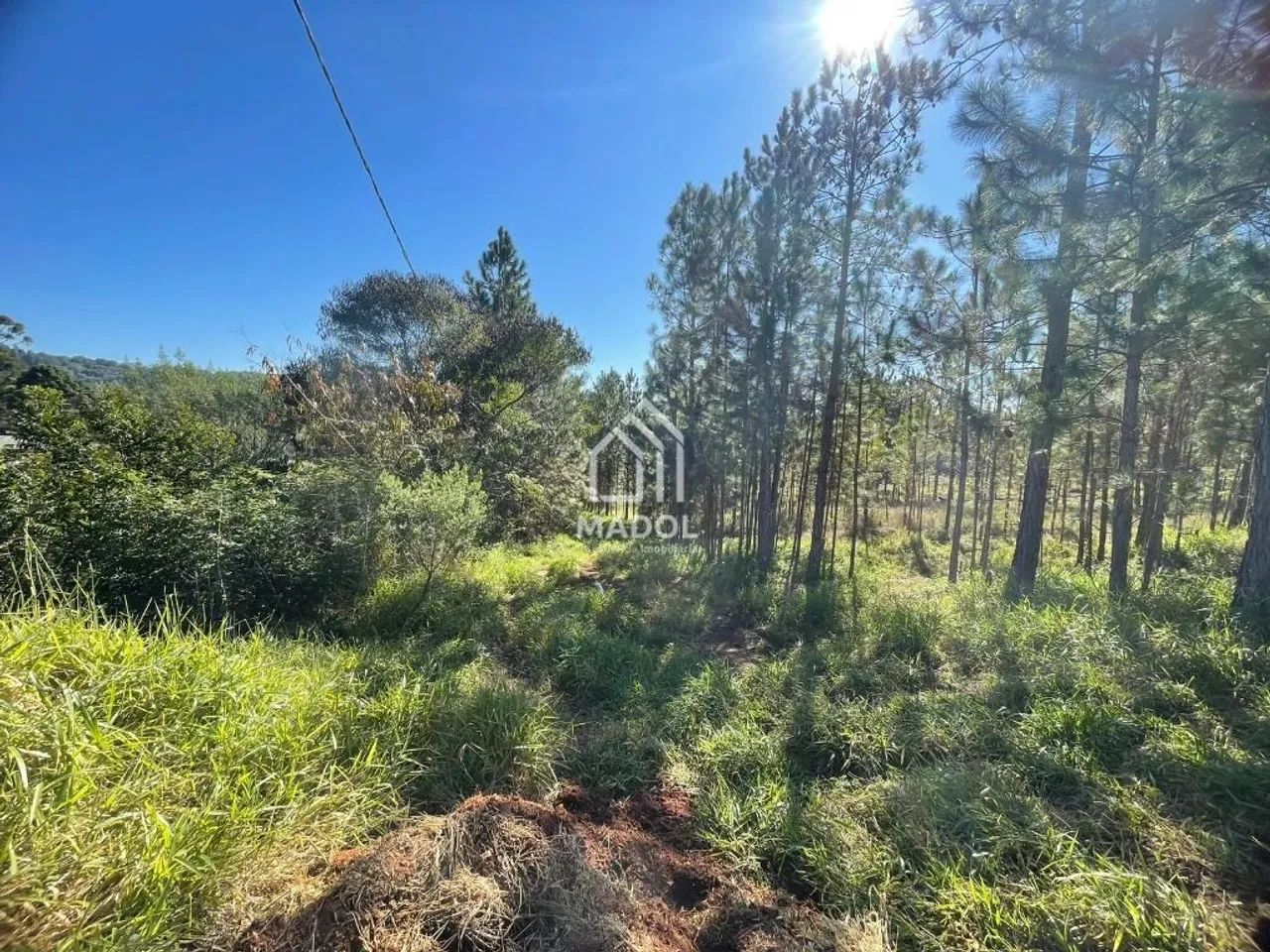 Terreno à venda, 720 m² por R$ 90.000 - Chapada - Ponta Grossa/PR - Foto 2