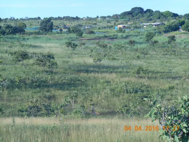 chácaras 5000m² taboquinha aparti R$ 39mil