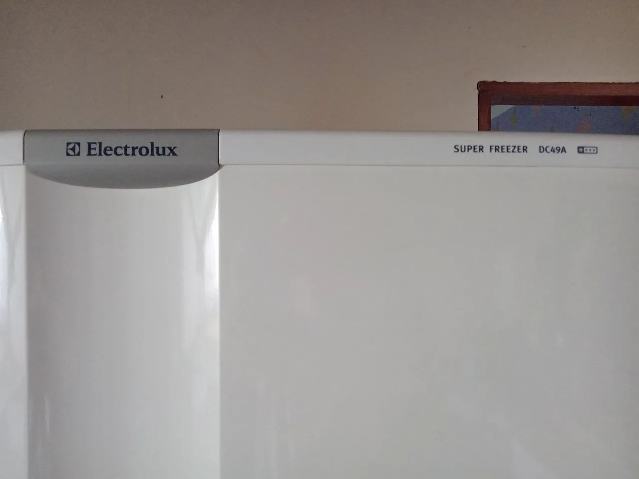 Freezer Electrolux DC49A