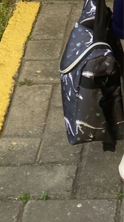 Mochila de rodinhas Dinossauros - Foto 2