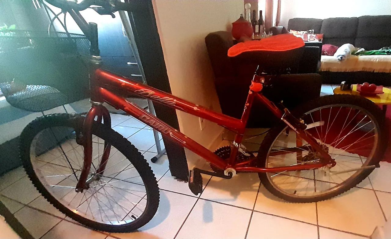 BICICLETA FEMENINA - Foto 2