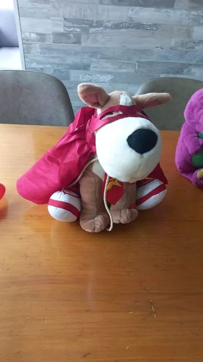 Super Cão Spock