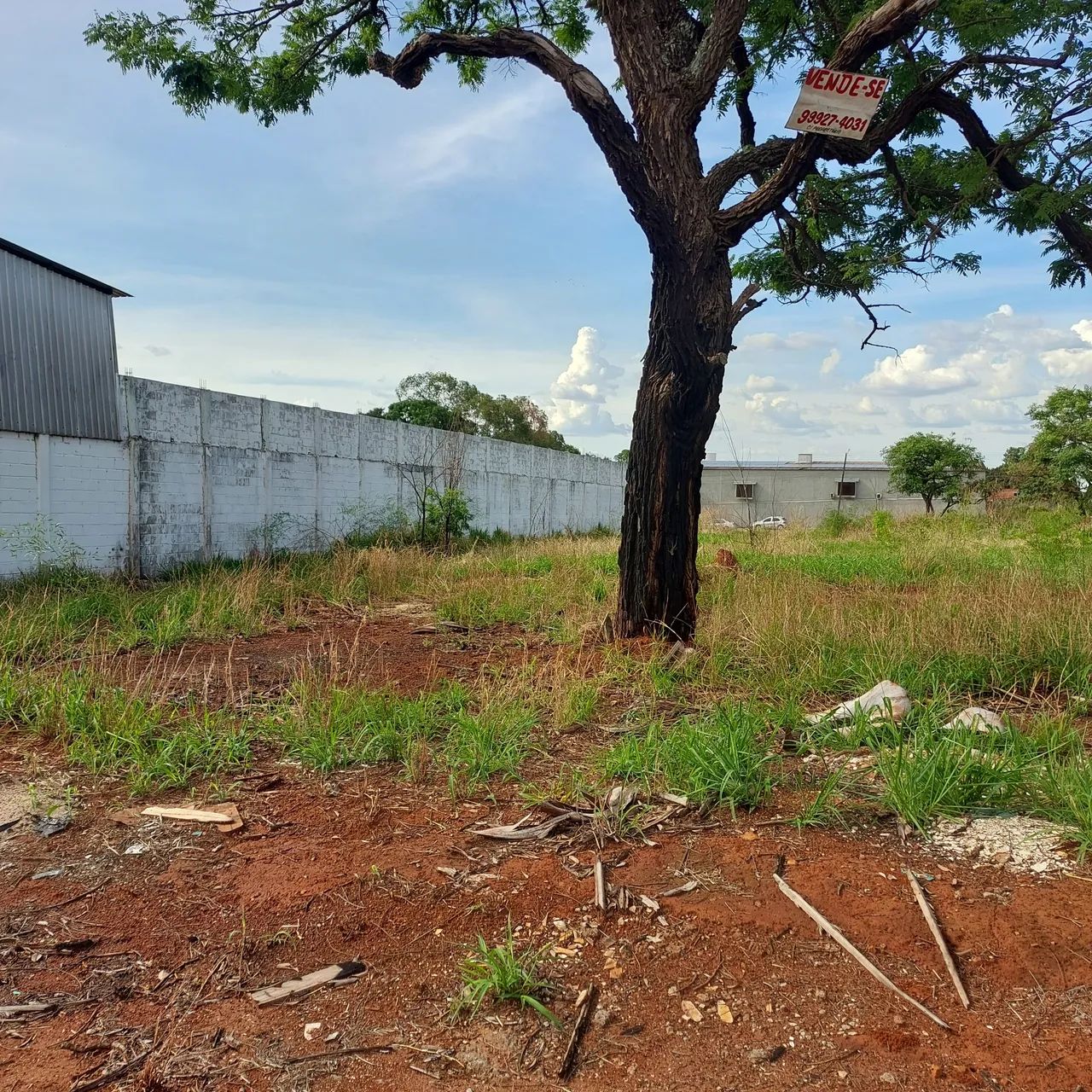 Lote  Jardim Petrópolis /particular  - Foto 2