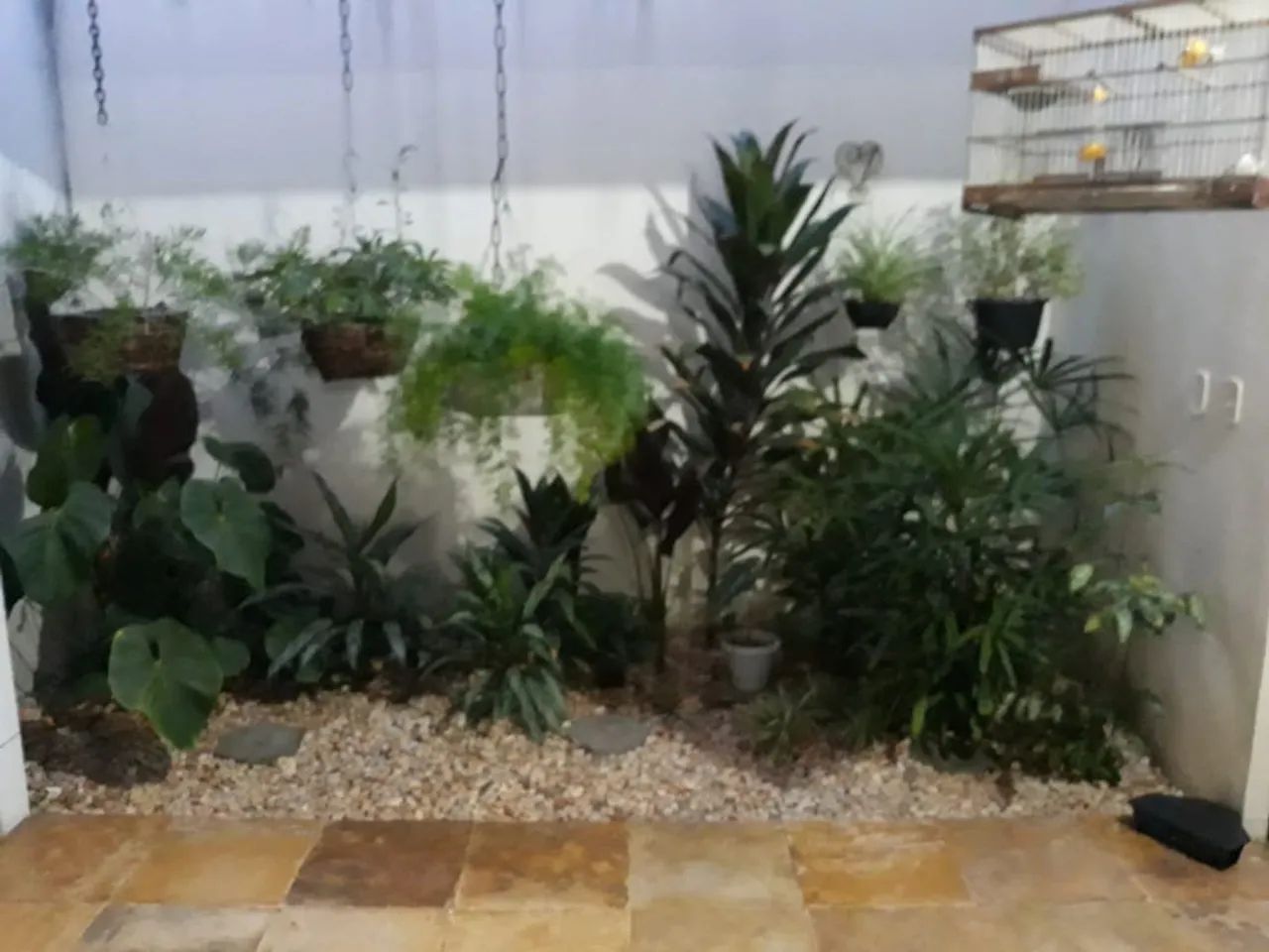 Casa Comercial - Foto 3