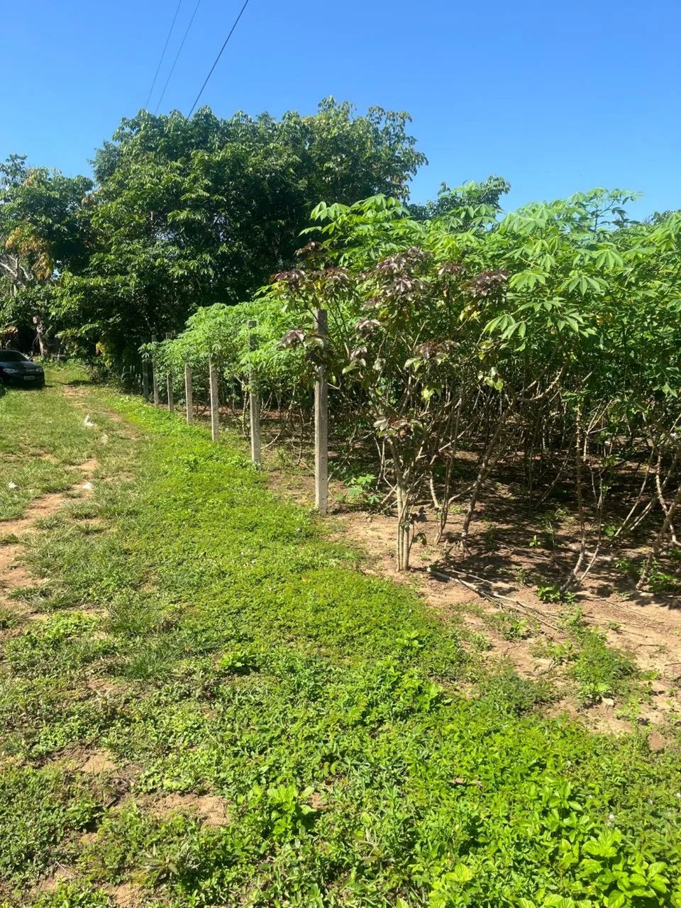 VENDE-SE. TERRENO. R$ 20.000, IRANDUBA - Foto 2