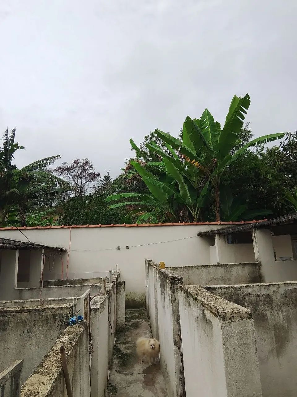 Chacrinha mil metros  - Foto 9