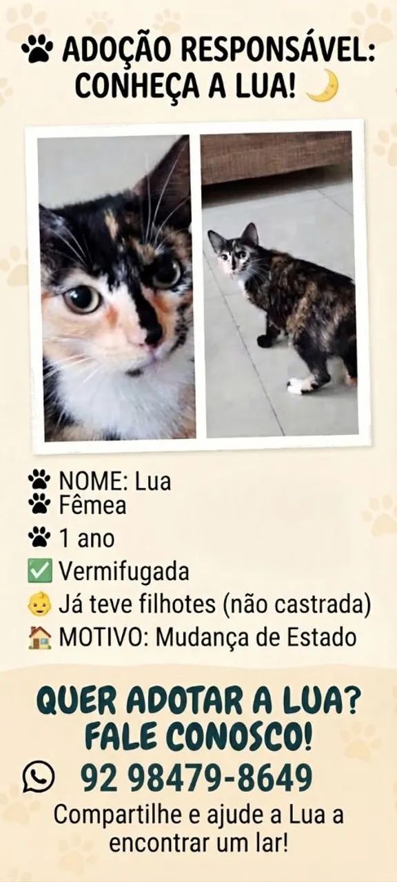 Adote a Lua  - Foto 3