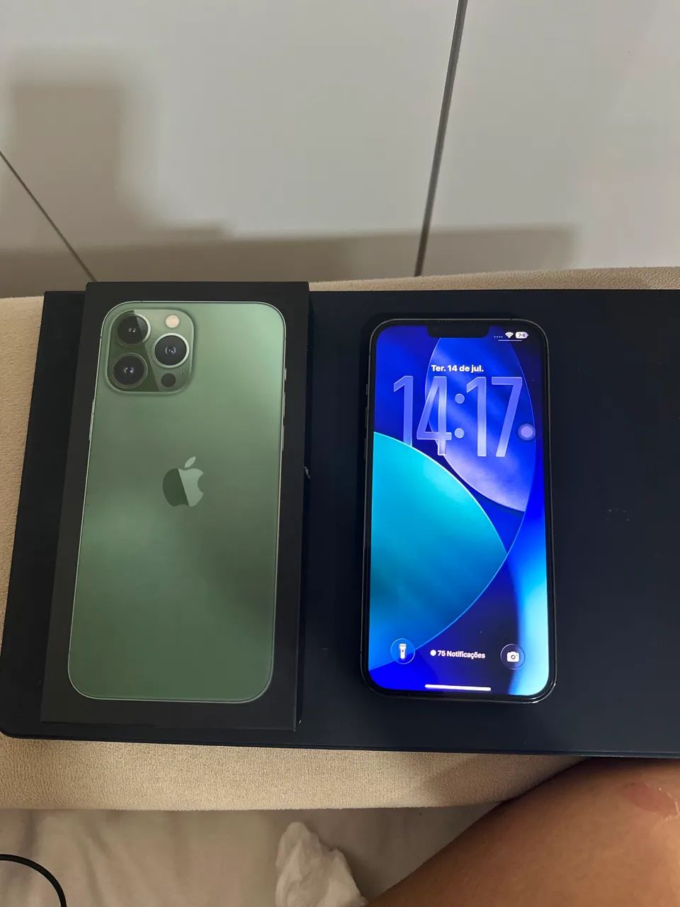 iPhone 13 Pro Max 