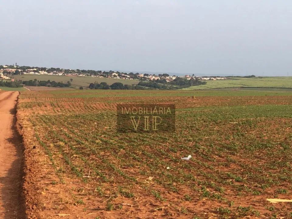 ZONA RURAL - FLORESTOPOLIS - Foto 5