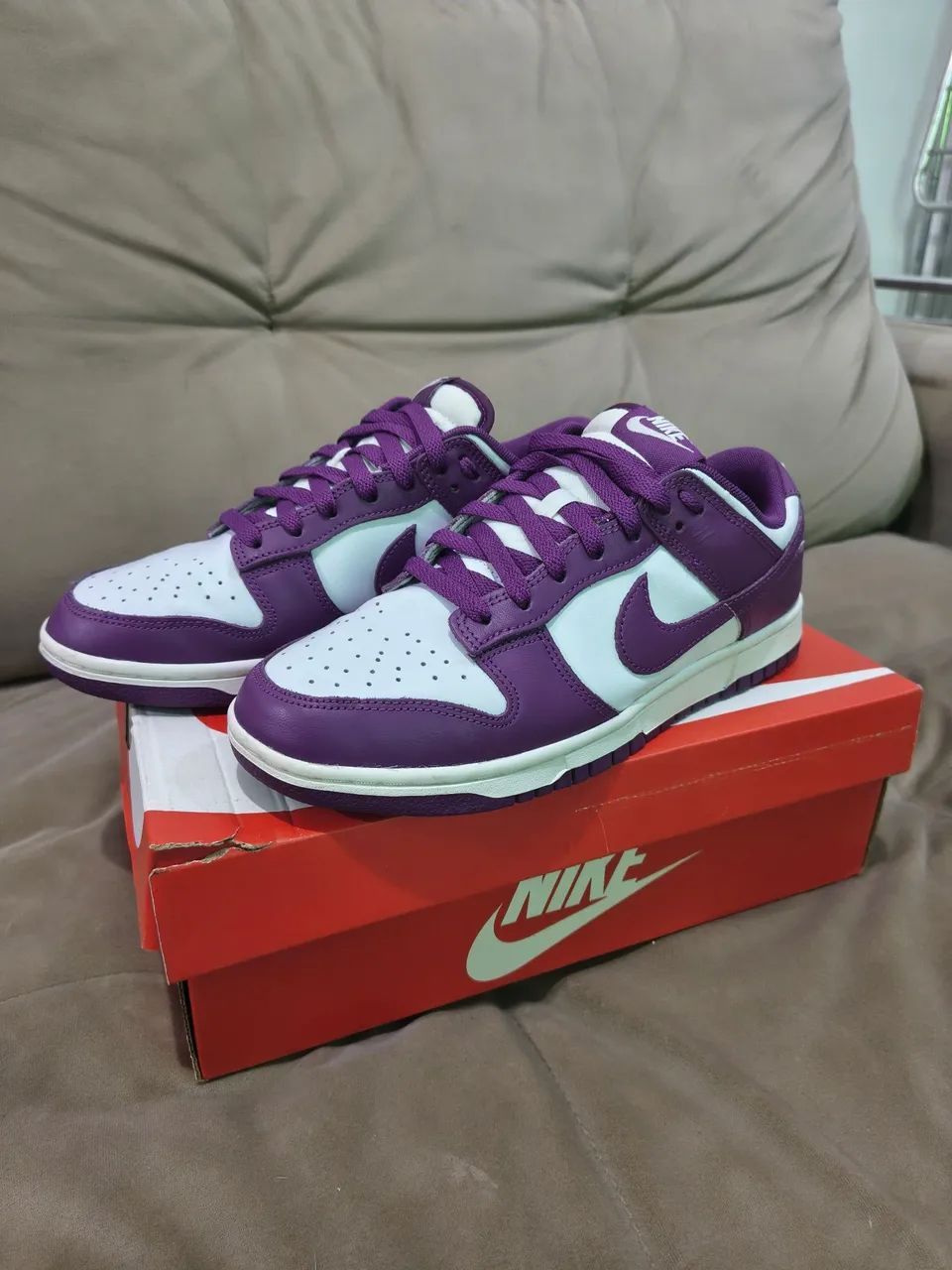 Nike Dunk Low Retro Tam 40 br