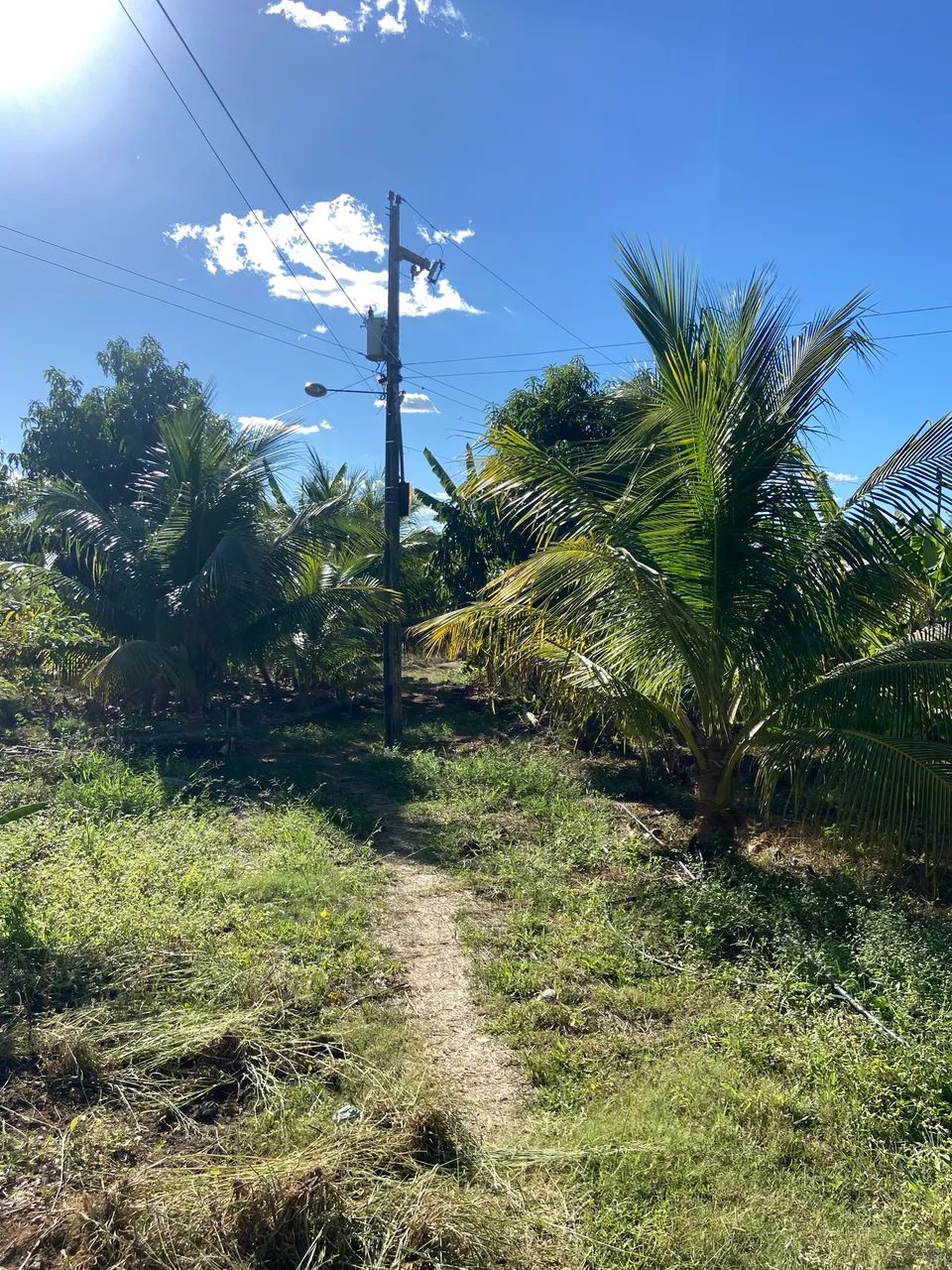vendo casa, preço a negociar pessoalmente  - Foto 2