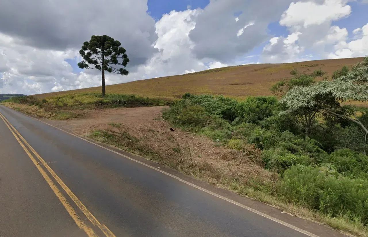 Propriedade Rural com 28 Hectares - Irani, SC - Foto 5