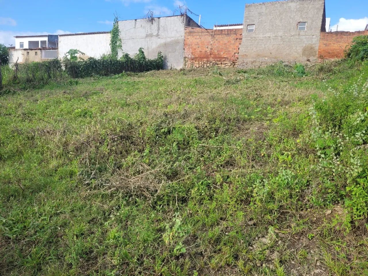 Vendo terreno 