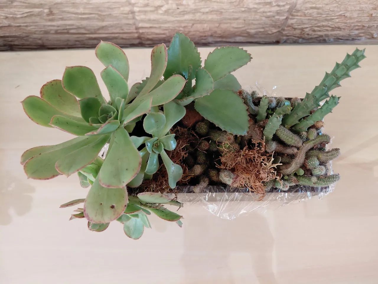 Decoração de casa 