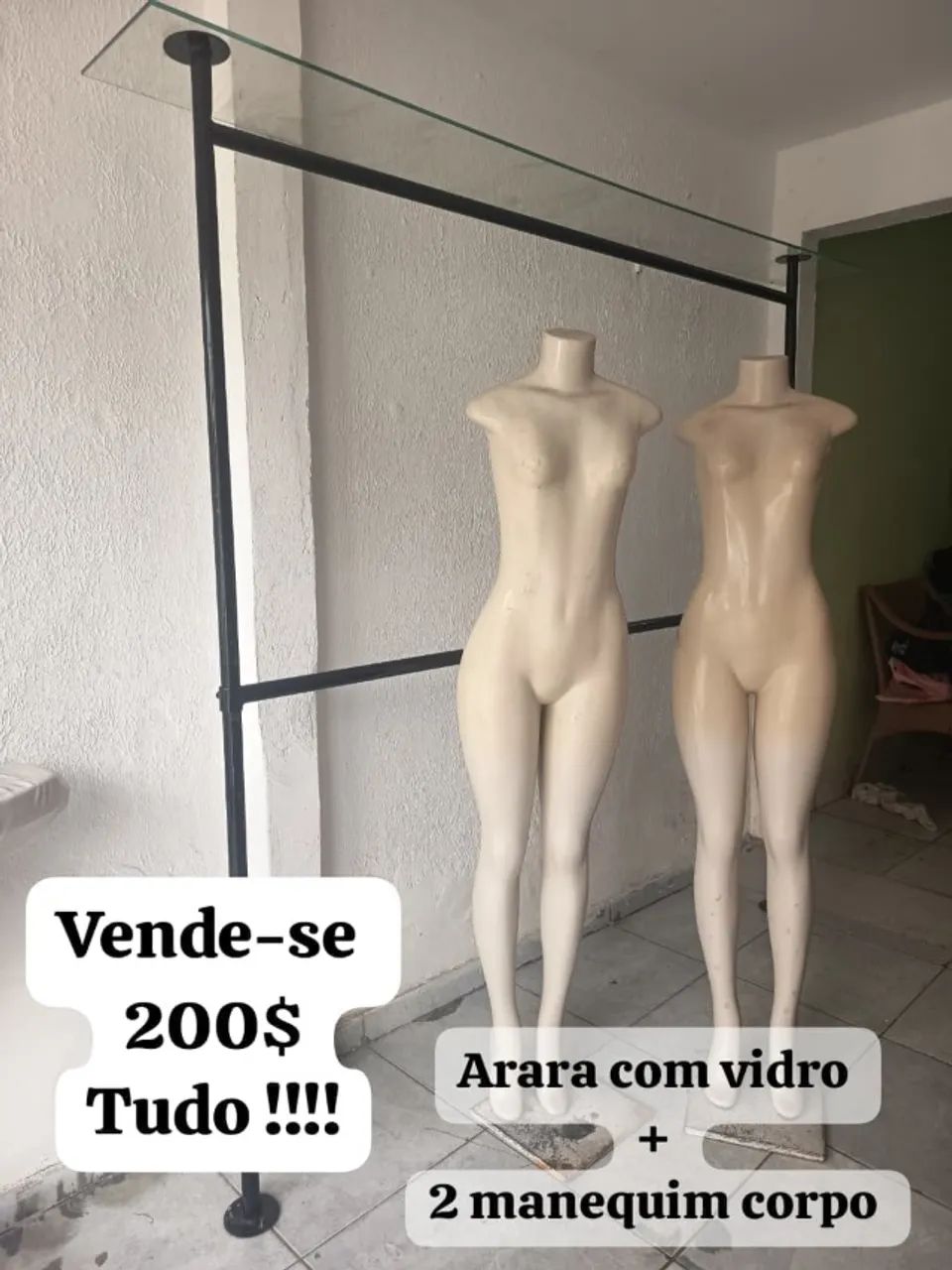 Arara com vidro e manequim 