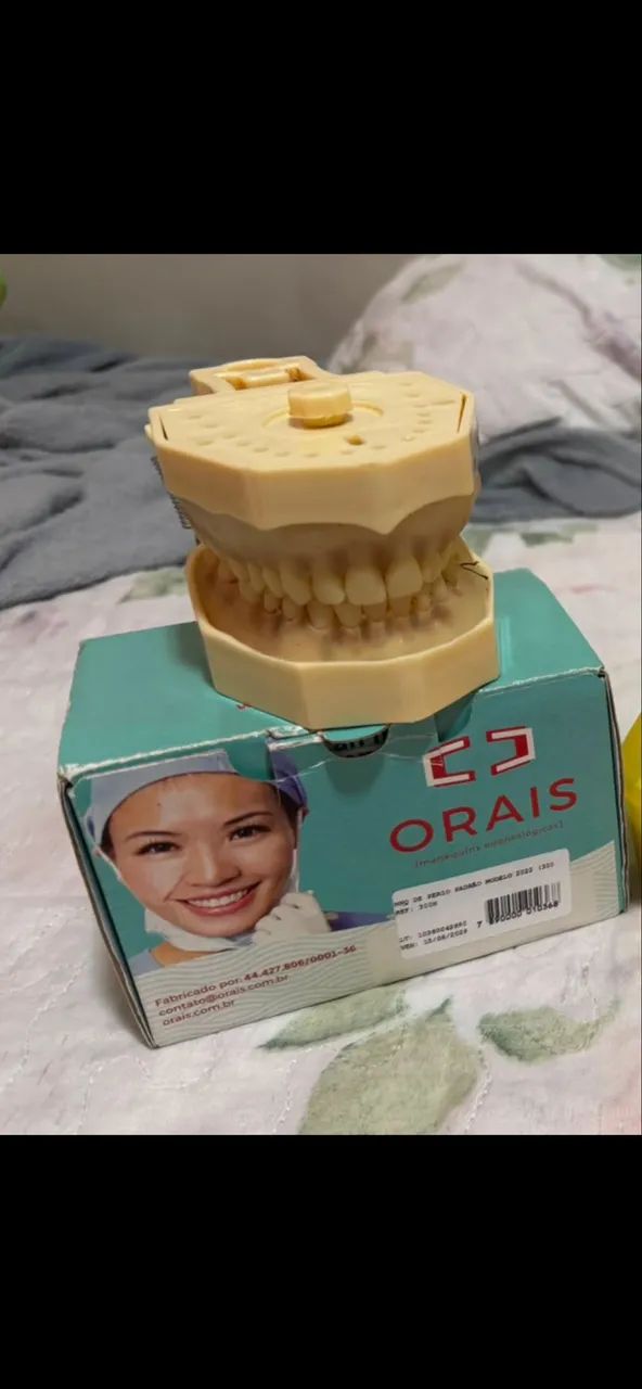 MANEQUIM DE PERIODONTIA 