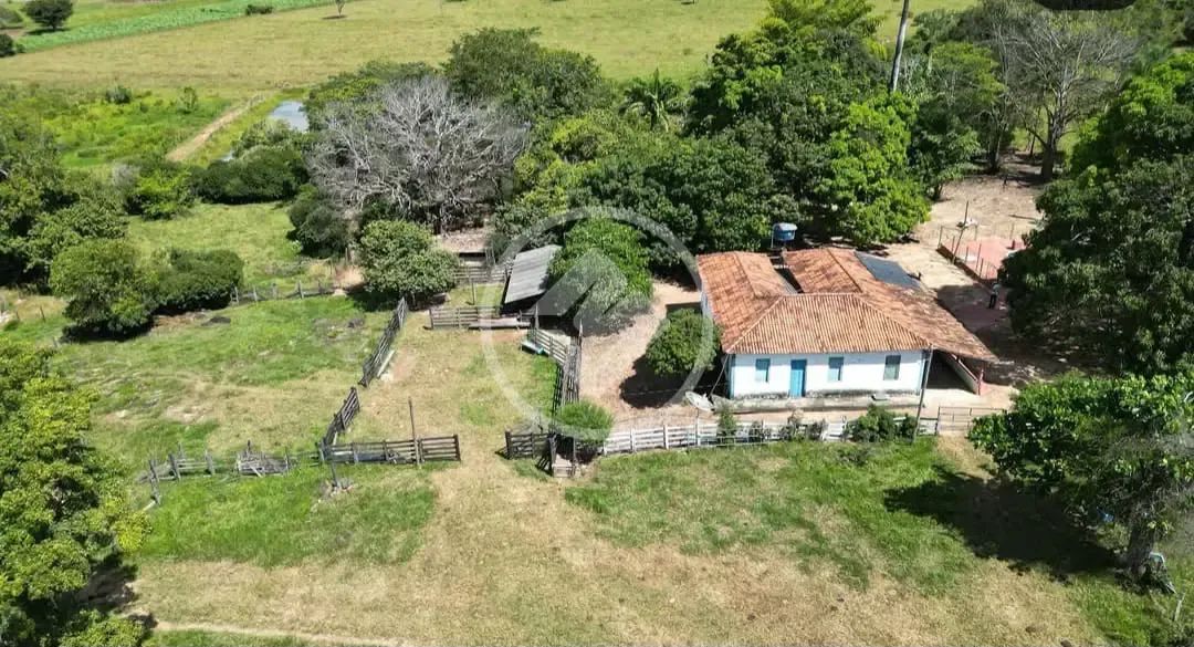 Jaraguá - Fazenda de 11 Alqueires codigo: 274149